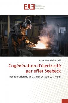 Cogénération d'électricité par effet Seebeck