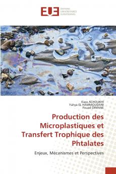 Production des Microplastiques et Transfert Trophique des Phtalates