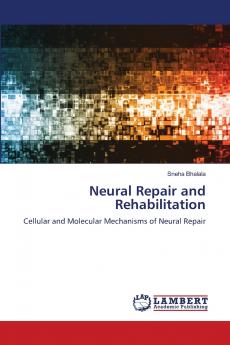 Neural Repair and Rehabilitation