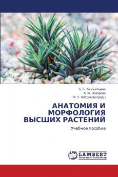 ???????? ? ?????????? ?????? ????????