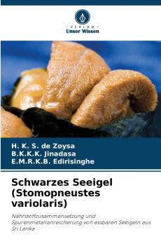 Schwarzes Seeigel (Stomopneustes variolaris)