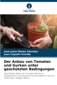 Der Anbau von Tomaten und Gurken unter geschützten Bedingungen
