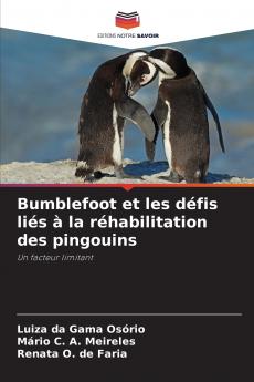 Bumblefoot et les défis liés à la réhabilitation des pingouins
