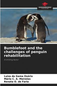 Bumblefoot and the challenges of penguin rehabilitation