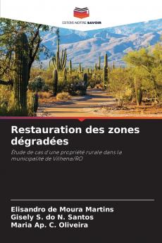 Restauration des zones dégradées