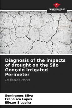 Diagnosis of the impacts of drought on the São Gonçalo Irrigated Perimeter