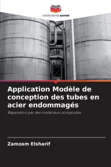 Application Modèle de conception des tubes en acier endommagés