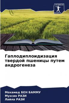 ������������������������������������ �������������� �������������� ���������� ����������������������