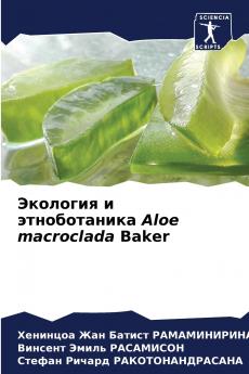 ???????? ? ???????????? Aloe macroclada Baker