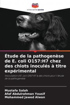 Étude de la pathogenèse de E. coli O157