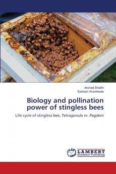 Biology and pollination power of stingless bees