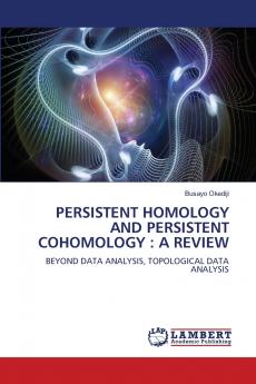 PERSISTENT HOMOLOGY AND PERSISTENT COHOMOLOGY
