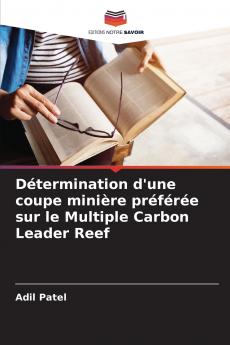 Détermination d'une coupe minière préférée sur le Multiple Carbon Leader Reef