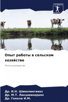 ???? ?????? ? ???????? ?????????