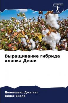 ??????????? ??????? ?????? ????