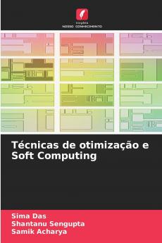 Técnicas de otimização e Soft Computing