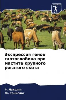 ?????????? ????? ???????????? ??? ??????? ???????? ???????? ?????