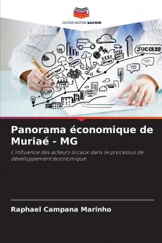 Panorama économique de Muriaé - MG