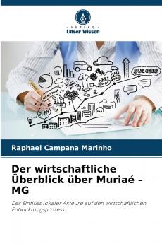 Der wirtschaftliche Überblick über Muriaé - MG