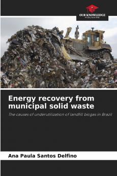 Energy recovery from municipal solid waste