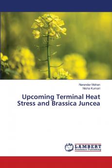 Upcoming Terminal Heat Stress and Brassica Juncea