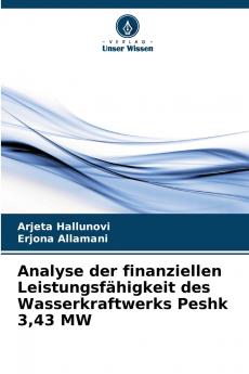 Analyse der finanziellen Leistungsfähigkeit des Wasserkraftwerks Peshk 343 MW
