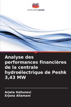 Analyse des performances financières de la centrale hydroélectrique de Peshk 343 MW