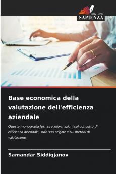 Base economica della valutazione dell'efficienza aziendale
