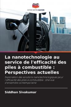La nanotechnologie au service de l'efficacité des piles à combustible