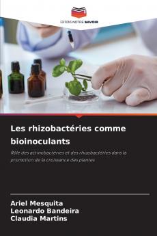 Les rhizobactéries comme bioinoculants