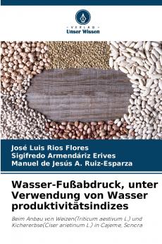 Wasser-Fußabdruck unter Verwendung von Wasser produktivitätsindizes