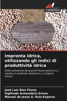 Impronta idrica utilizzando gli indici di produttività idrica