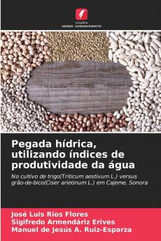 Pegada hídrica utilizando índices de produtividade da água