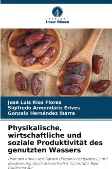 Physikalische wirtschaftliche und soziale Produktivität des genutzten Wassers