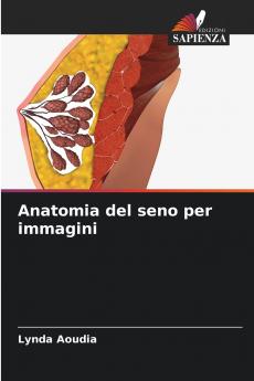 Anatomia del seno per immagini