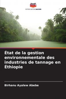 État de la gestion environnementale des industries de tannage en Éthiopie