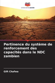 Pertinence du système de renforcement des capacités dans le NDC zambien
