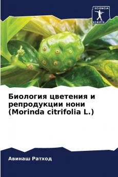 ???????? ???????? ? ??????????? ???? (Morinda citrifolia L.)