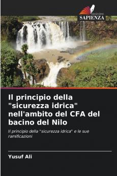 Il principio della sicurezza idrica nell'ambito del CFA del bacino del Nilo