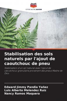 Stabilisation des sols naturels par l'ajout de caoutchouc de pneu