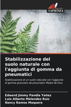 Stabilizzazione del suolo naturale con l'aggiunta di gomma da pneumatici
