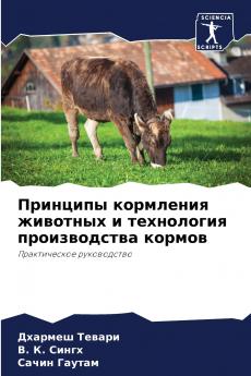 ???????? ????????? ???????? ? ?????????? ???????????? ??????