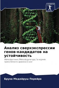 ?????? ??????????????? ?????-?????????? ?? ????????????