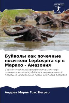 ??????? ??? ???????? ???????? Leptospira sp ? ?????? - ????????