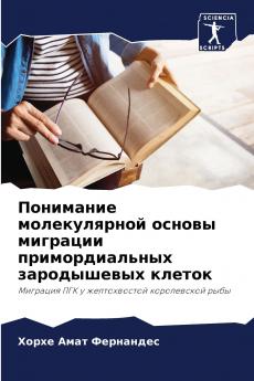 ????????? ???????????? ?????? ???????? ?????????????? ??????????? ??????