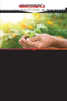Gouvernance de l'eau dans la vallée du Jourdain