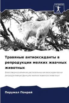 ???????? ????????????? ? ??????????? ?????? ??????? ????????