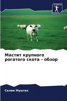 ?????? ???????? ???????? ????? - ?????