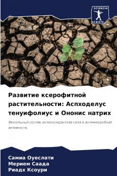 ???????? ??????????? ??????????????