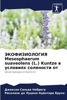 ????????????? Mesosphaerum suaveolens (L.) Kuntze ? ???????? ????????? ??